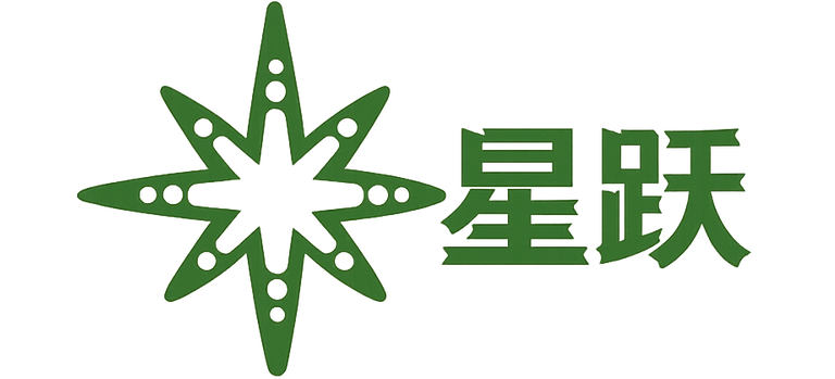 星跃建站